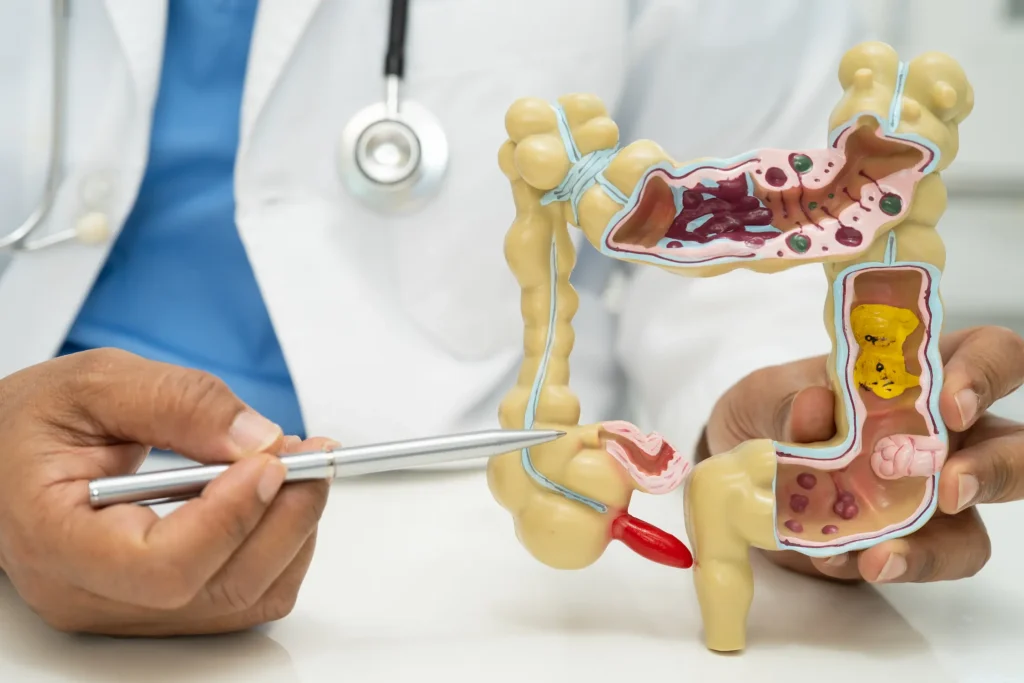 departamento proctología - hospital del holding